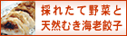 採れたて野菜と天然むき海老餃子